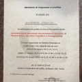Ingrandire l'immagine: certificate 4
