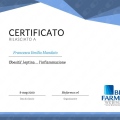 Ingrandire l'immagine: certificate 15