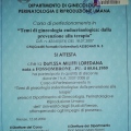Ingrandire l'immagine: certificate 3
