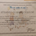 Ingrandire l'immagine: certificate 7