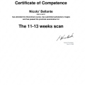 Ingrandire l'immagine: certificate 1