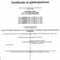 Ingrandire l'immagine: certificate 12