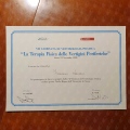 Ingrandire l'immagine: certificate 11