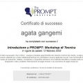 Ingrandire l'immagine: certificate 2
