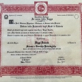 Ingrandire l'immagine: certificate 2