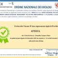 Ingrandire l'immagine: certificate 6