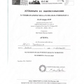 Ingrandire l'immagine: certificate 9