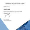 Ingrandire l'immagine: certificate 1