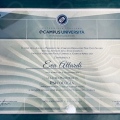 Ingrandire l'immagine: certificate 1
