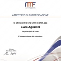 Ingrandire l'immagine: certificate 11