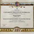 Ingrandire l'immagine: certificate 1