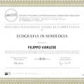 Ingrandire l'immagine: certificate 1
