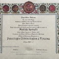 Ingrandire l'immagine: certificate 2