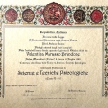 Ingrandire l'immagine: certificate 1