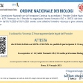 Ingrandire l'immagine: certificate 2
