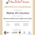 Ingrandire l'immagine: certificate 13