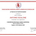 Ingrandire l'immagine: certificate 2