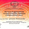 Ingrandire l'immagine: certificate 12