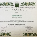 Ingrandire l'immagine: certificate 2