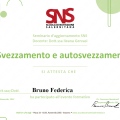 Ingrandire l'immagine: certificate 6