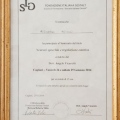Ingrandire l'immagine: certificate 7