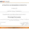 Ingrandire l'immagine: certificate 4