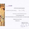 Ingrandire l'immagine: certificate 9