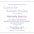 Ingrandire l'immagine: certificate 6