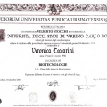 Ingrandire l'immagine: certificate 3