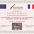 Ingrandire l'immagine: certificate 5