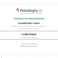 Ingrandire l'immagine: certificate 2