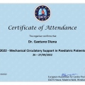 Ingrandire l'immagine: certificate 9