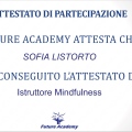 Ingrandire l'immagine: certificate 12