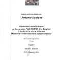 Ingrandire l'immagine: certificate 6