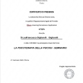 Ingrandire l'immagine: certificate 4