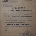 Ingrandire l'immagine: certificate 4