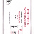 Ingrandire l'immagine: certificate 4