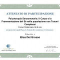 Ingrandire l'immagine: certificate 5