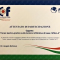 Ingrandire l'immagine: certificate 12