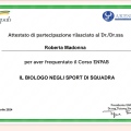 Ingrandire l'immagine: certificate 204