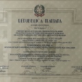 Ingrandire l'immagine: certificate 1