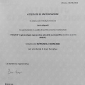 Ingrandire l'immagine: certificate 11