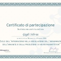Ingrandire l'immagine: certificate 16