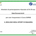 Ingrandire l'immagine: certificate 1