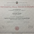 Ingrandire l'immagine: certificate 2
