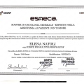 Ingrandire l'immagine: certificate 2