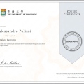 Ingrandire l'immagine: certificate 9