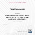 Ingrandire l'immagine: certificate 2