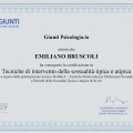 Ingrandire l'immagine: certificate 4