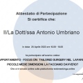 Ingrandire l'immagine: certificate 23